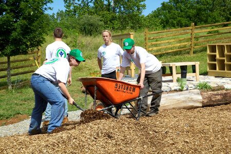 Body conservation labor