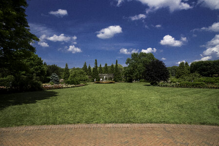 Grass landscape under blue skies in Chicago Botanical Gardens