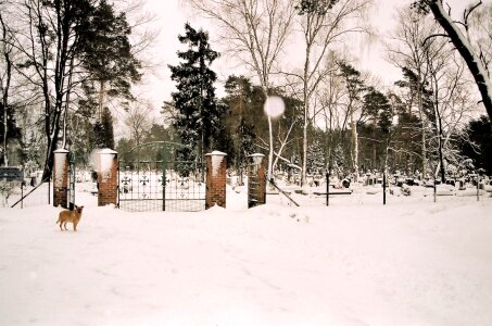 Grave graves headstones