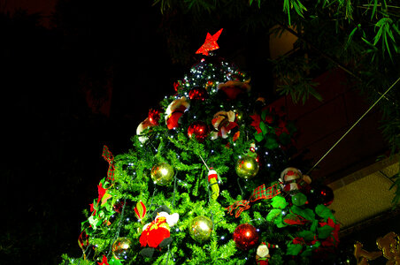 1 Christmas