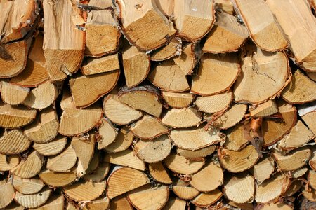 Fuel wood pile