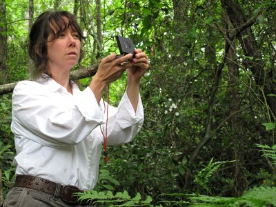 Bearing compass female
