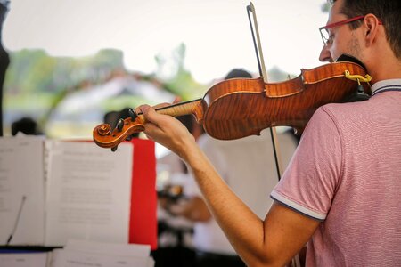 Violin music musician