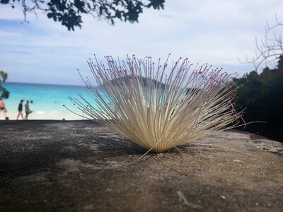 Sea view sky