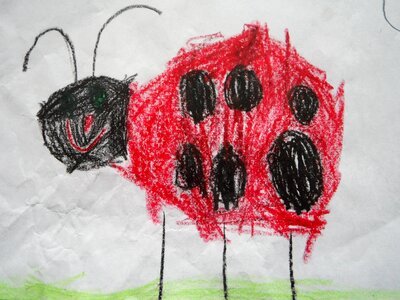 Lucky ladybug drawing animal