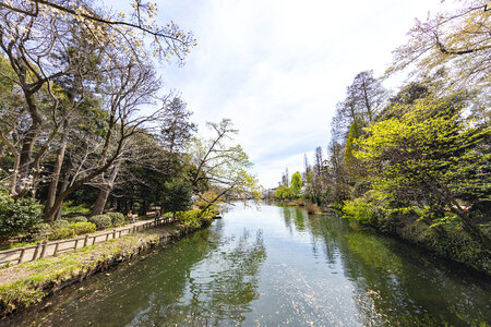 4 Inogashira Park