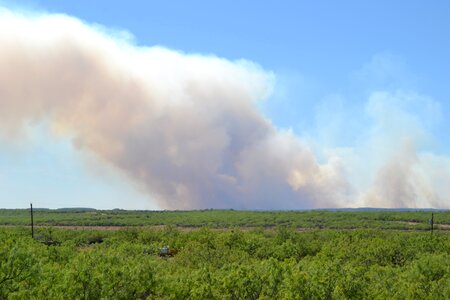 Land acreage brush