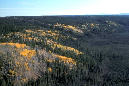 Autumn camp scenic