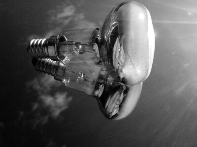 Beautiful Photo black and white bulb photo