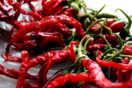 Bell Pepper vegetable photo