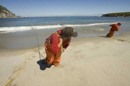 Aquatic fishery 