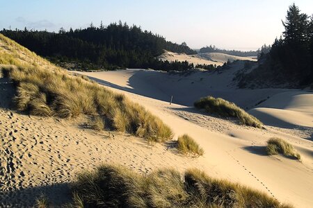 Coast oregon usa