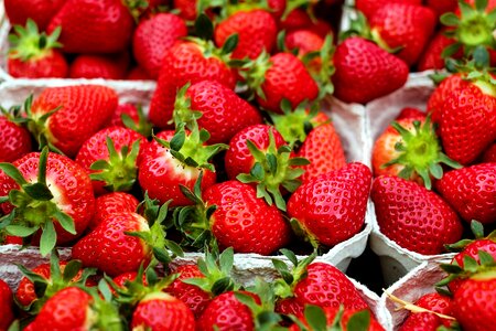 Berry delicious diet