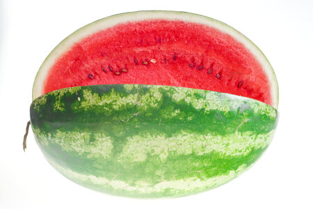 watermelon photo