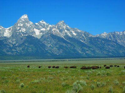 Grand Tetons National Park Wyoming photo