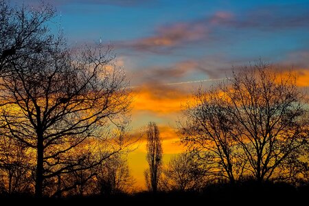 Backlight dawn dusk photo