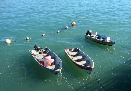 Sport boat fish