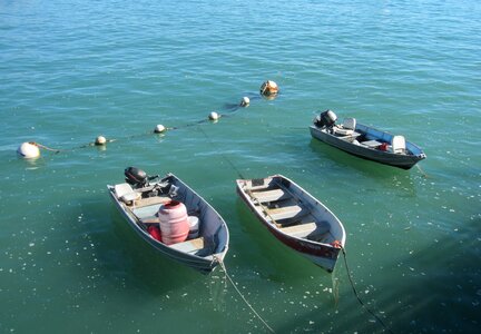 Sport boat fish photo