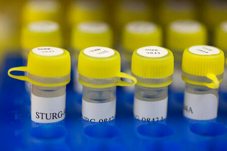 Genetic samples-3