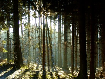 Light sun mood
