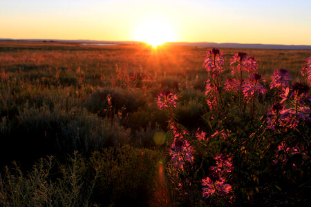 Dawn at Mortenson Lake National Wildlife Refuge