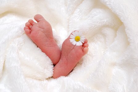 Soft newborn born photo