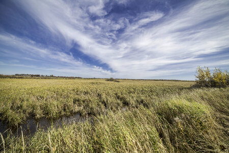 White clouds and blue sky over the Marshes at Crex Meadows photo