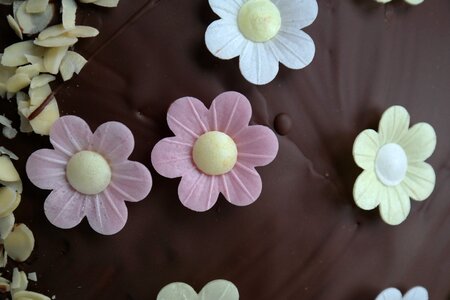 Chocolate cake cake chocolate photo