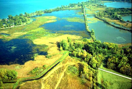 Marsh scenic 