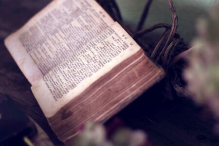 Antique book focus