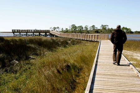 Boardwalk husband refuge