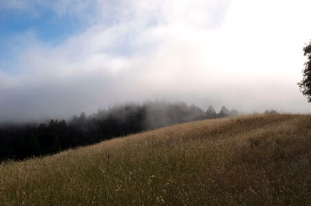 Countryside field fog photo