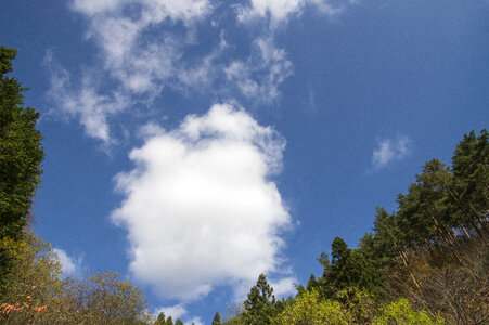9 Sky