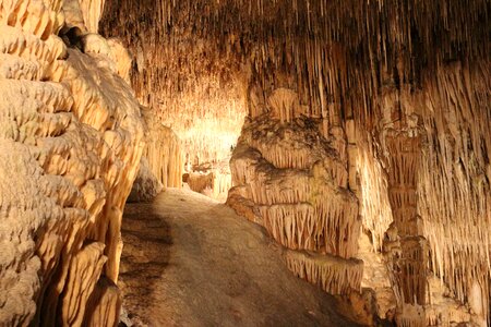 Dragon's lair mystical mallorca photo