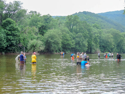 Students surveying freshwater mussels-2