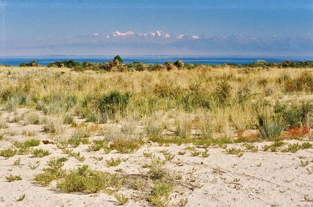 Issyk Kul endorheic lake in the northern Tian Shan mountains photo