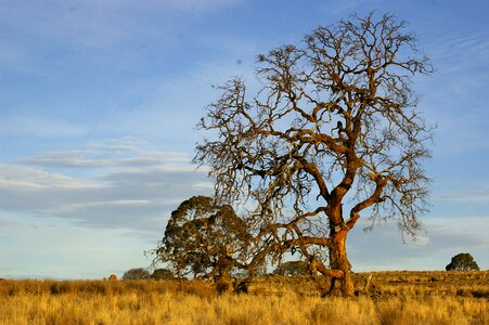 Outback landscape australia