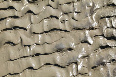 Nature sand texture photo