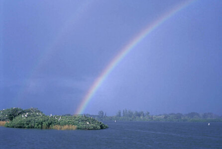 Rainbow over Pelican Island National Wildlife Refuge photo