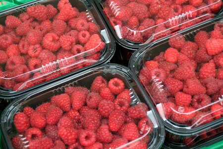 Berries red fruits red