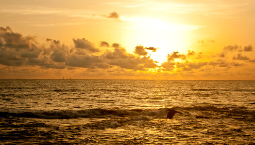 Sun Waves Sea photo