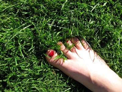 Green toe toenail