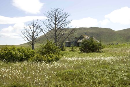 Great lawn 