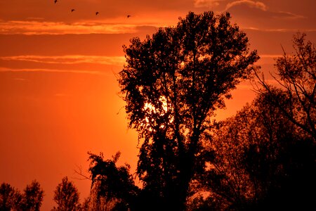 Beautiful Photo fair weather shadow photo