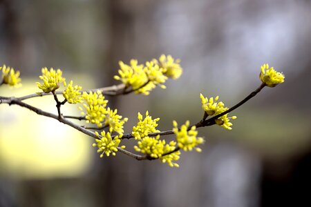 Nature landscape spring