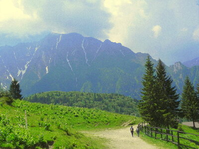 Mountain Path photo