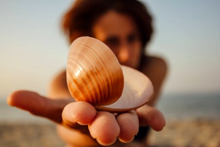 Seashell photo model young woman photo