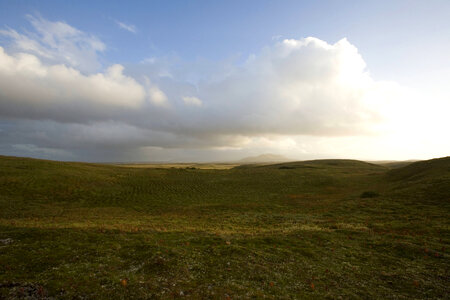 Tundra with mountains in background at Izembek Natiional Wildlife Refuge