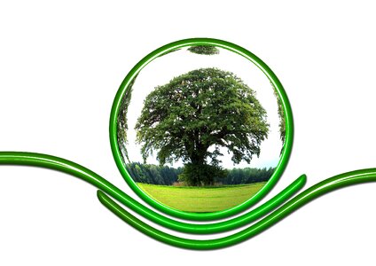 Tree responsibility globe photo