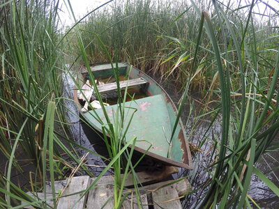 Small Boat in the Marsh